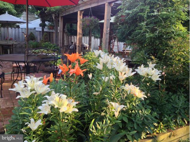 BALLS HILL - Residential