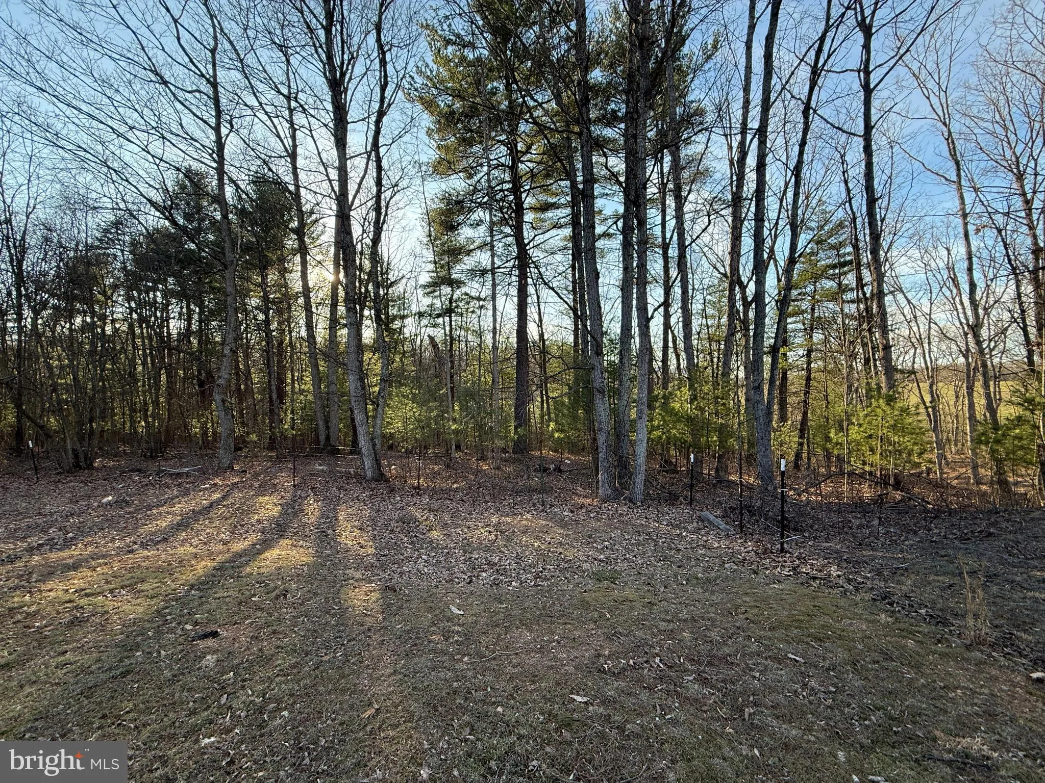 Hedgesville, West Virginia 25427, United States, ,Land,Active,108466