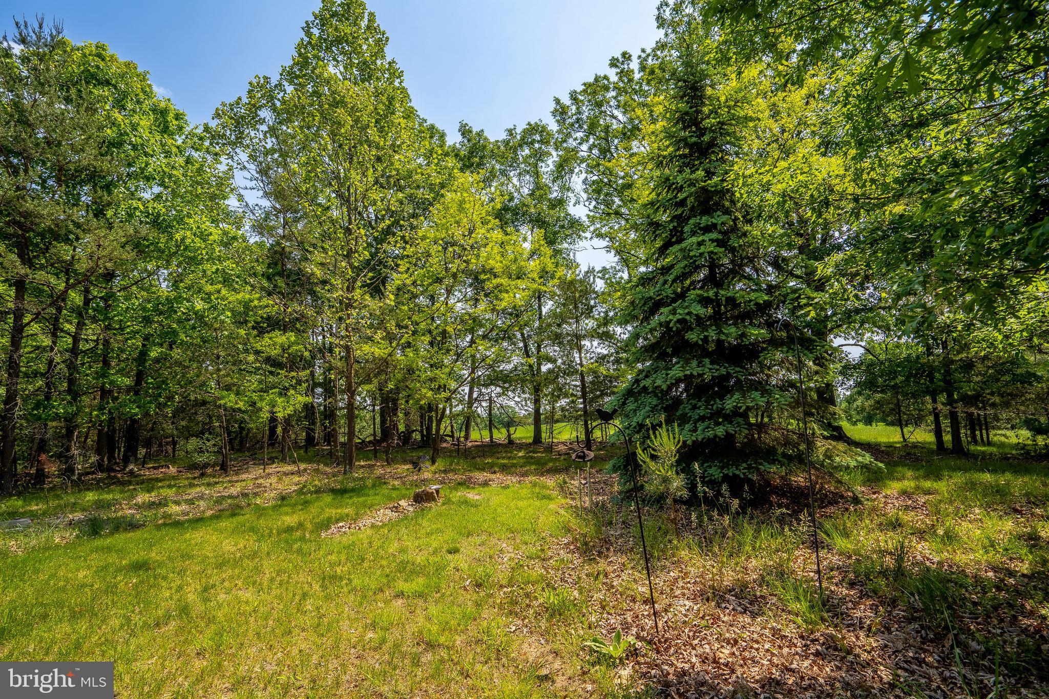 CACAPON SOUTH - Residential