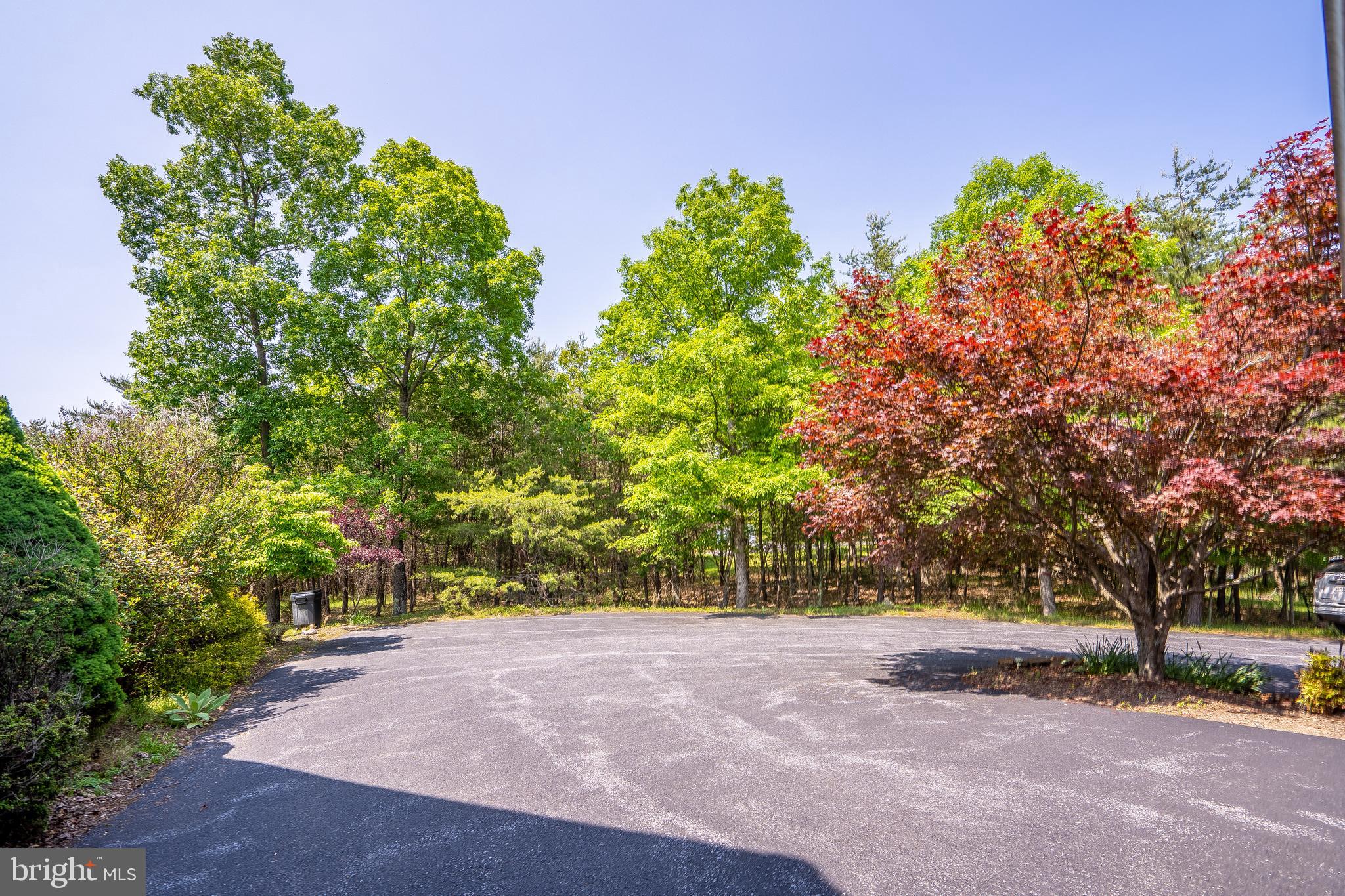 CACAPON SOUTH - Residential