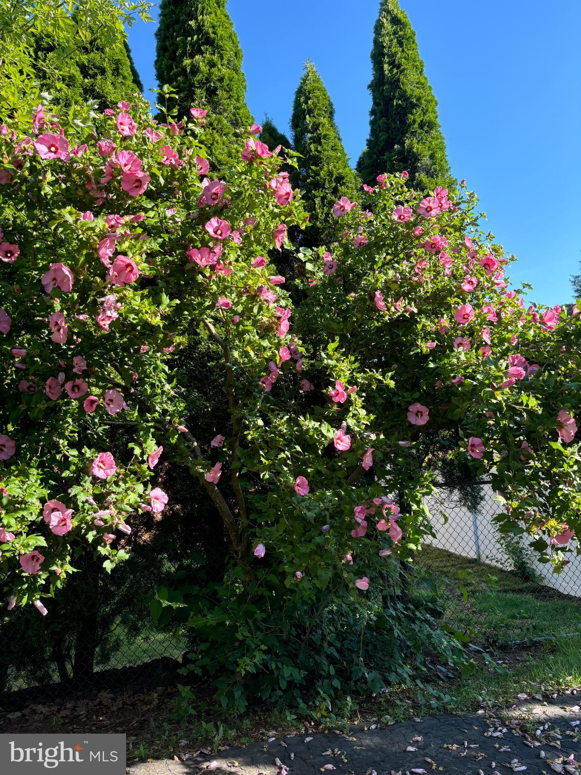 SWEET BRIAR - Residential