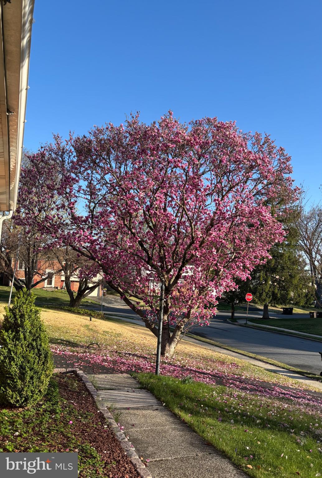SWEET BRIAR - Residential