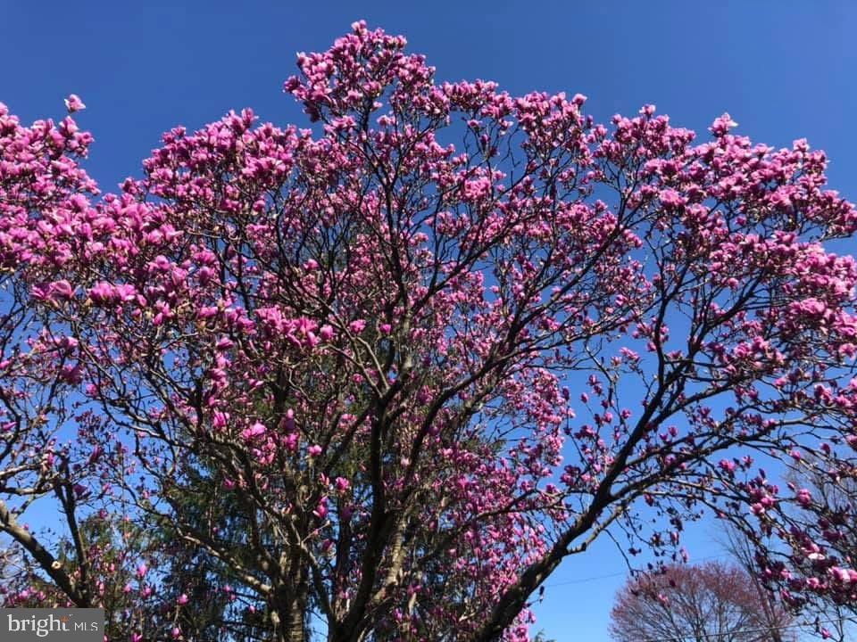 SWEET BRIAR - Residential