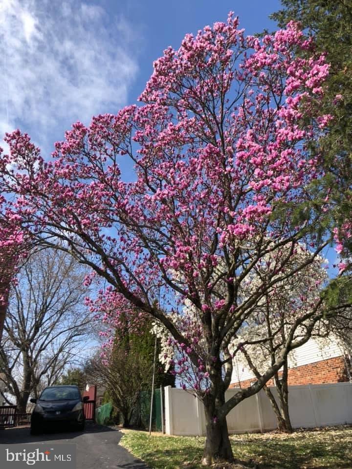 SWEET BRIAR - Residential