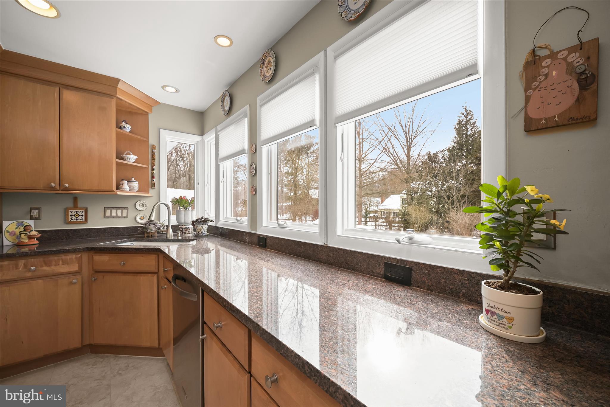 VILLAGE OF HICKORY RIDGE - Residential