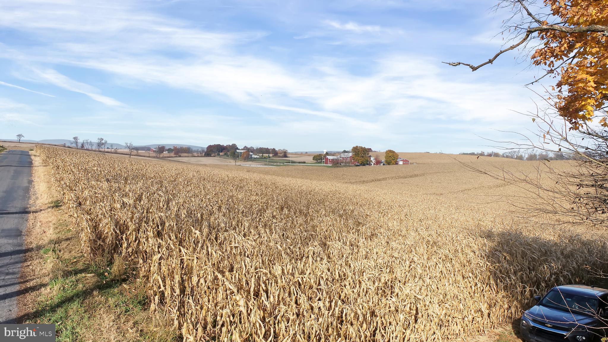 NONE AVAILABLE - Farm