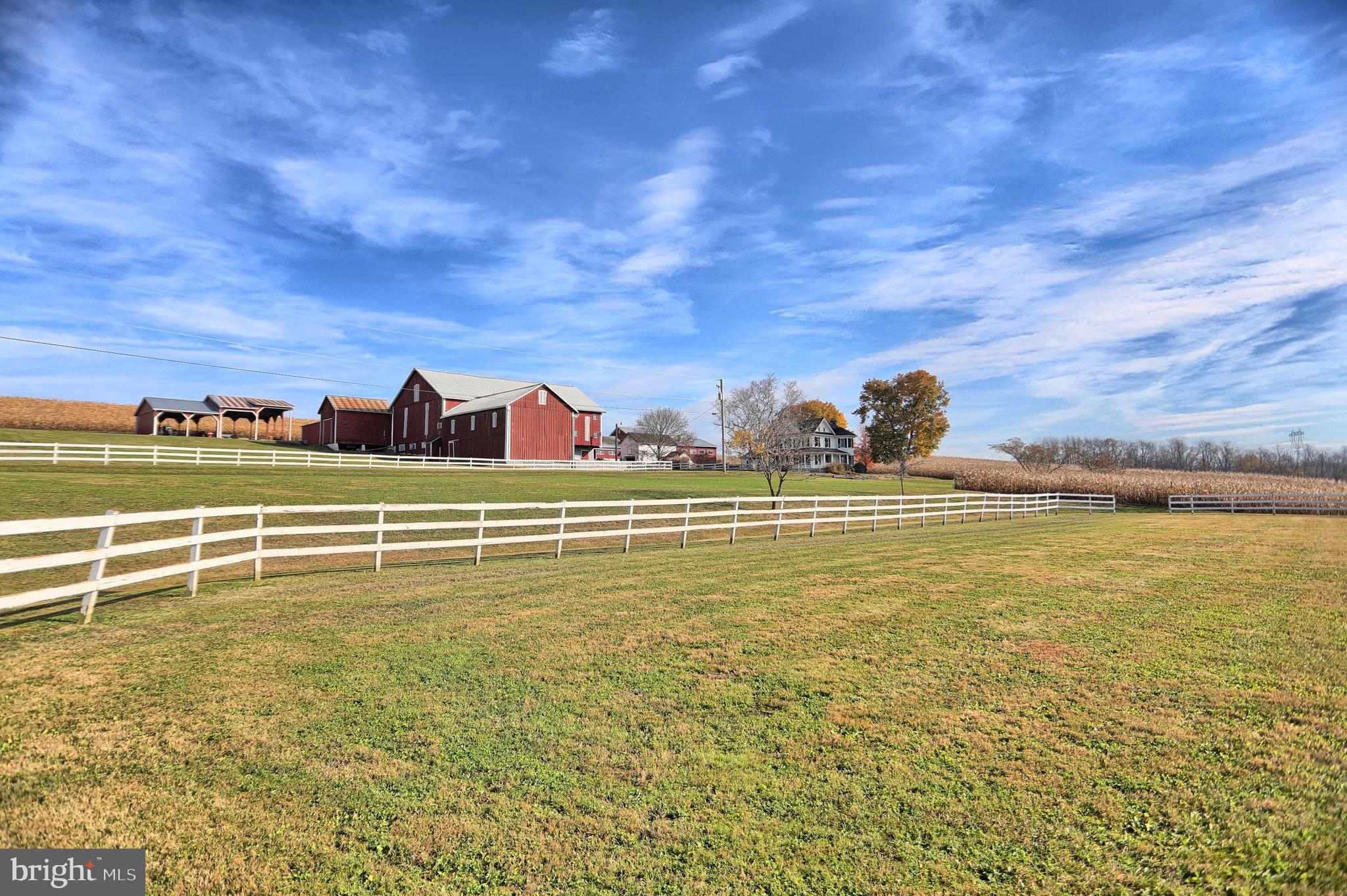 NONE AVAILABLE - Farm