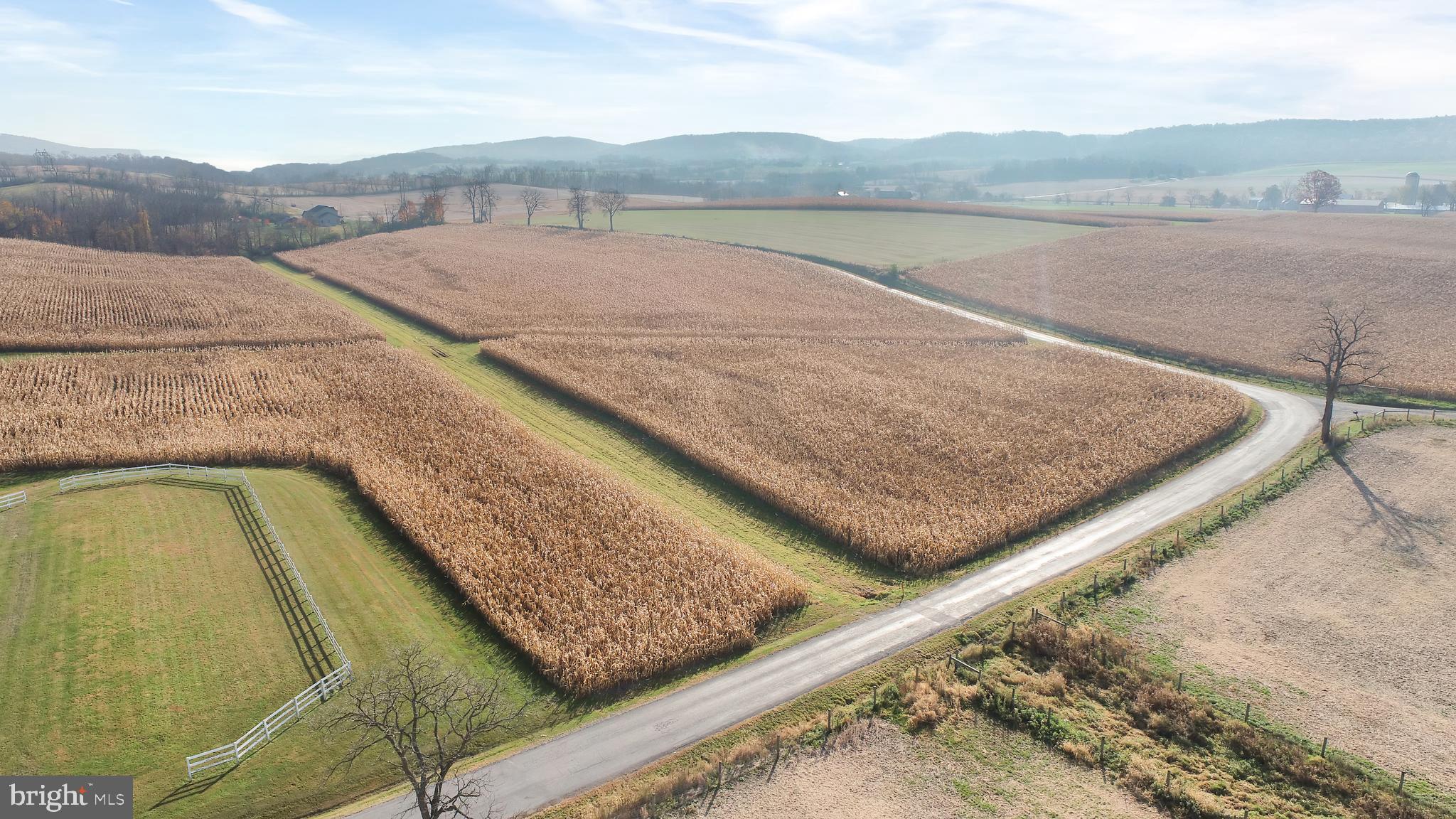 NONE AVAILABLE - Farm