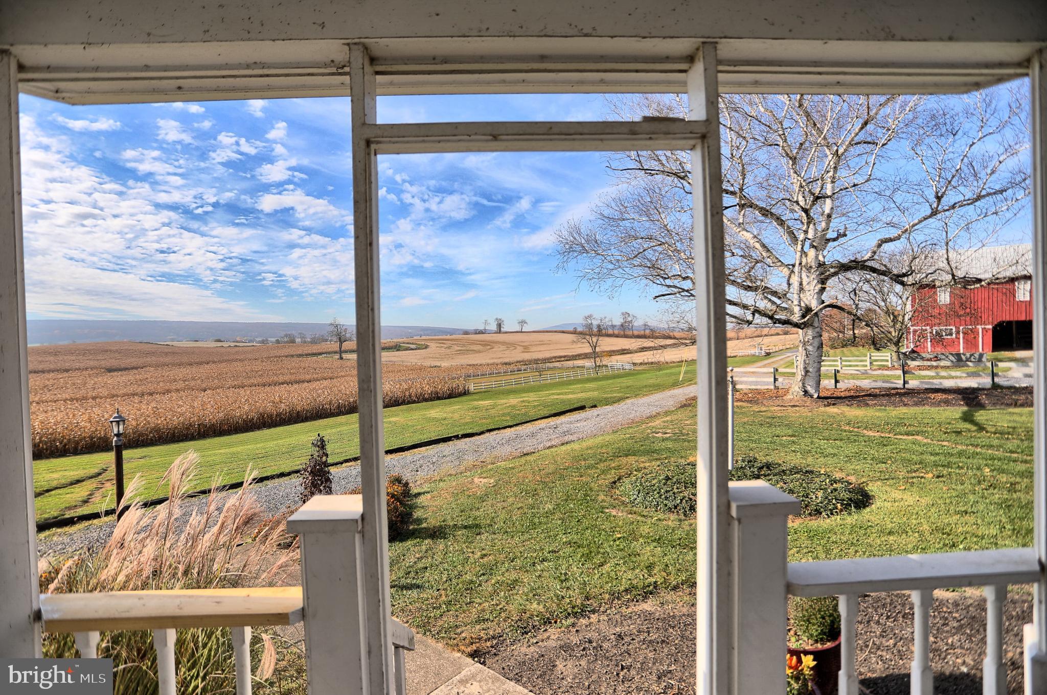 NONE AVAILABLE - Farm