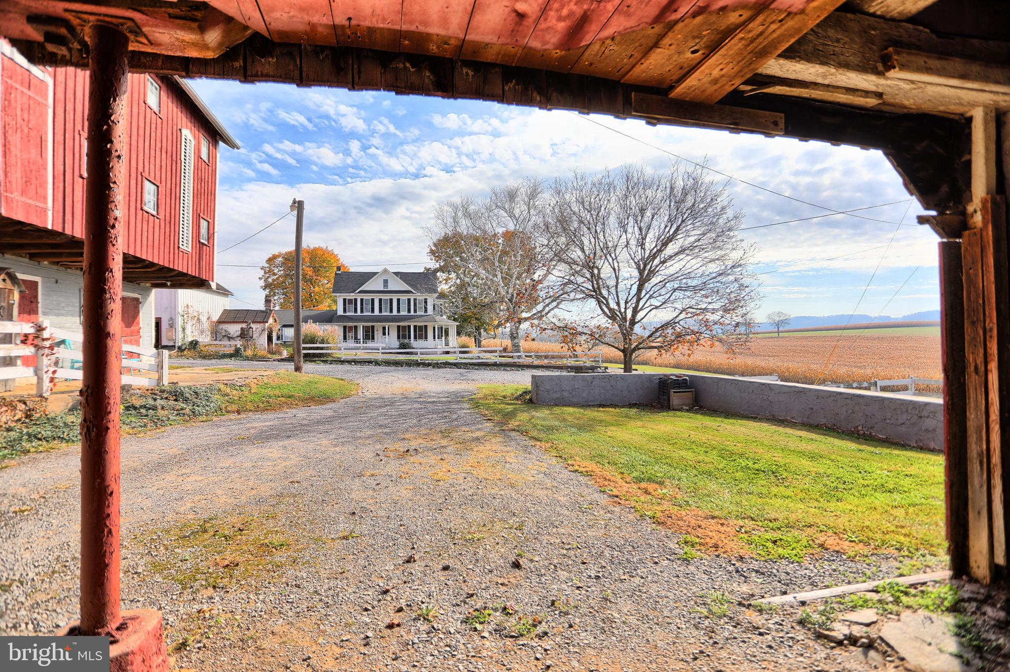 NONE AVAILABLE - Farm