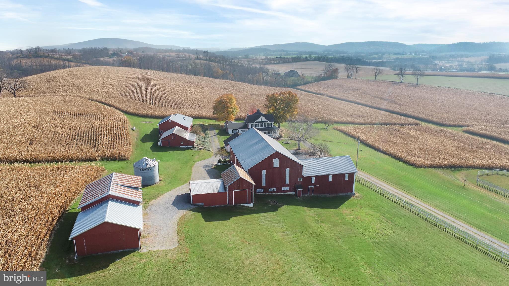 NONE AVAILABLE - Farm