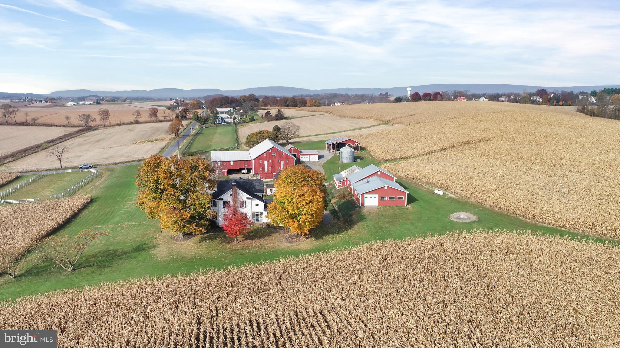 NONE AVAILABLE - Farm