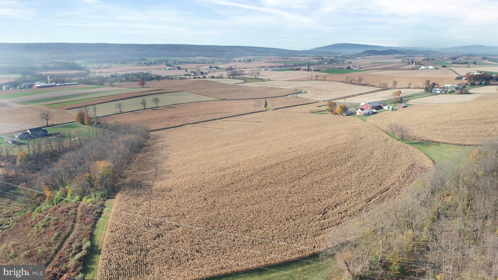 NONE AVAILABLE - Farm