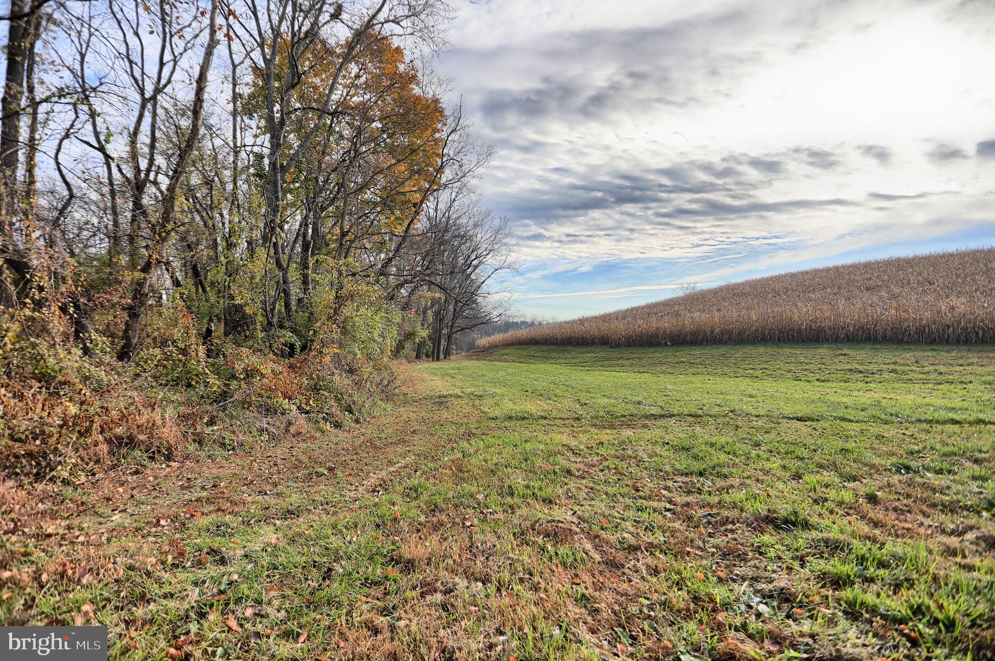 NONE AVAILABLE - Farm