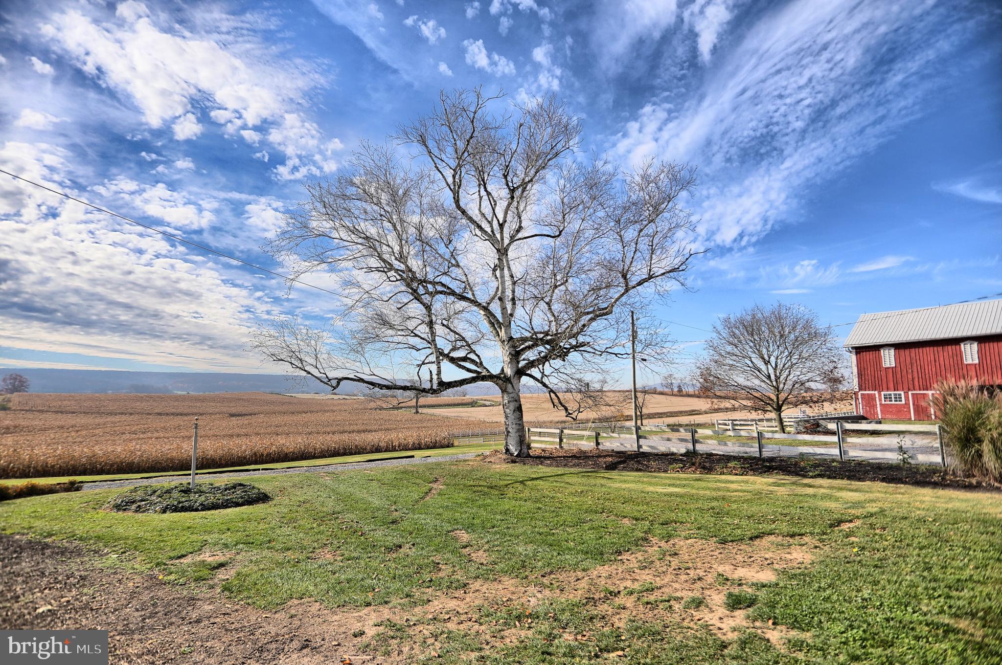 NONE AVAILABLE - Farm