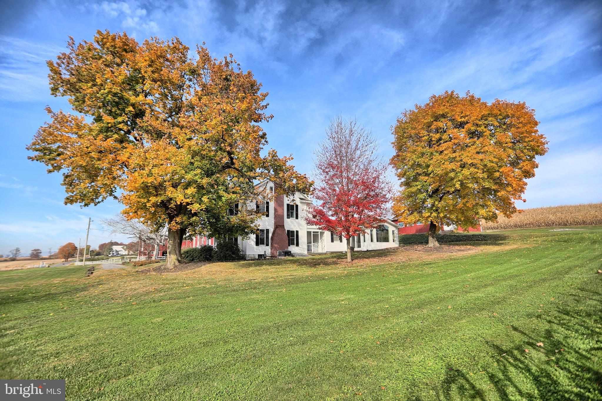 NONE AVAILABLE - Farm