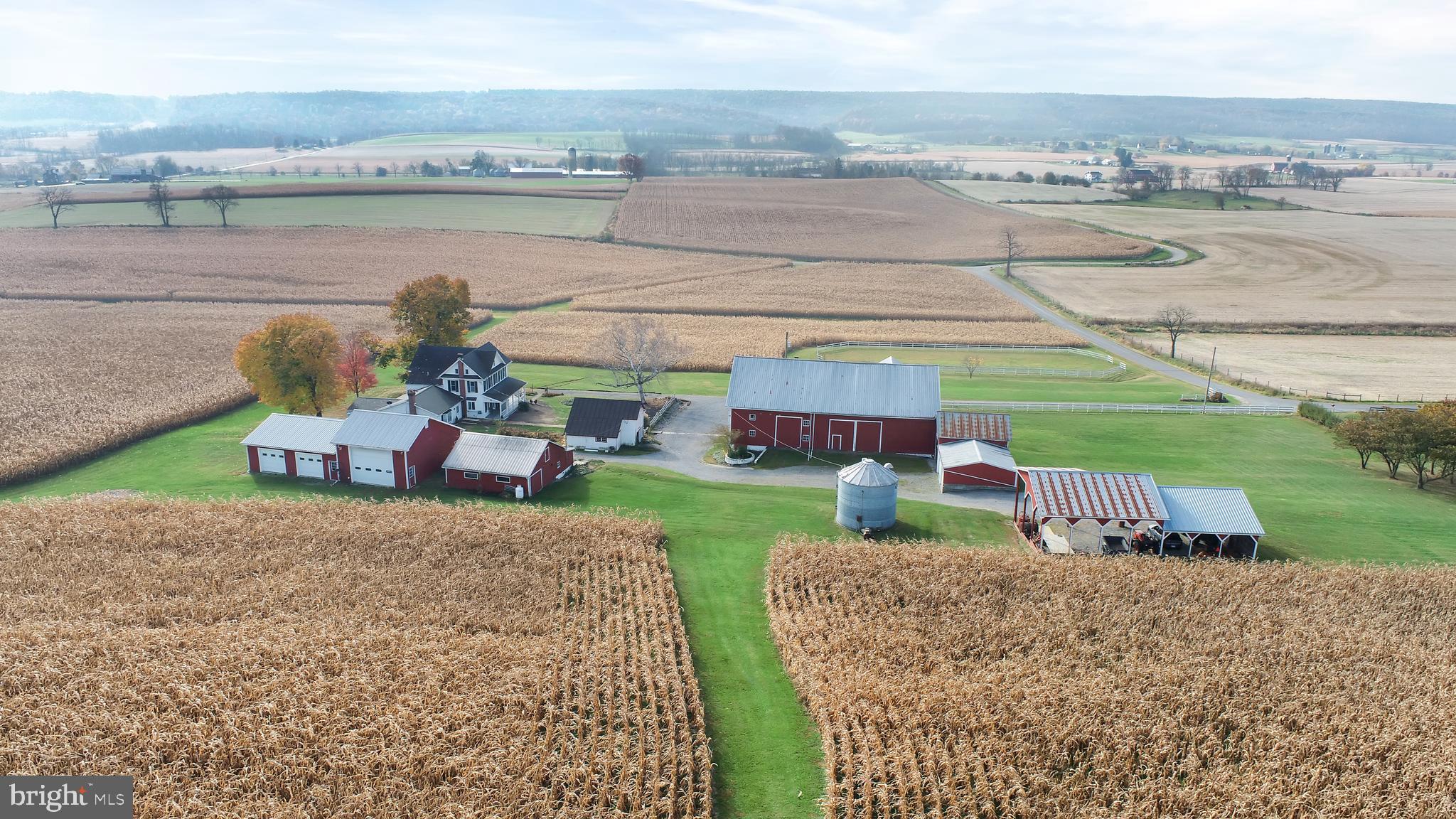 NONE AVAILABLE - Farm