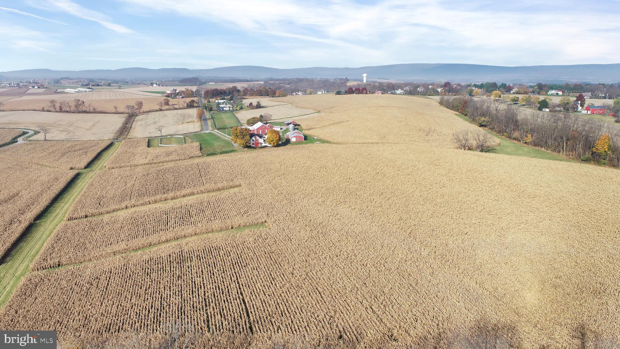 NONE AVAILABLE - Farm