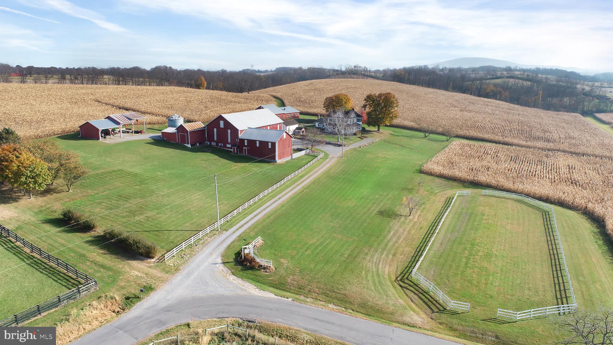 NONE AVAILABLE - Farm