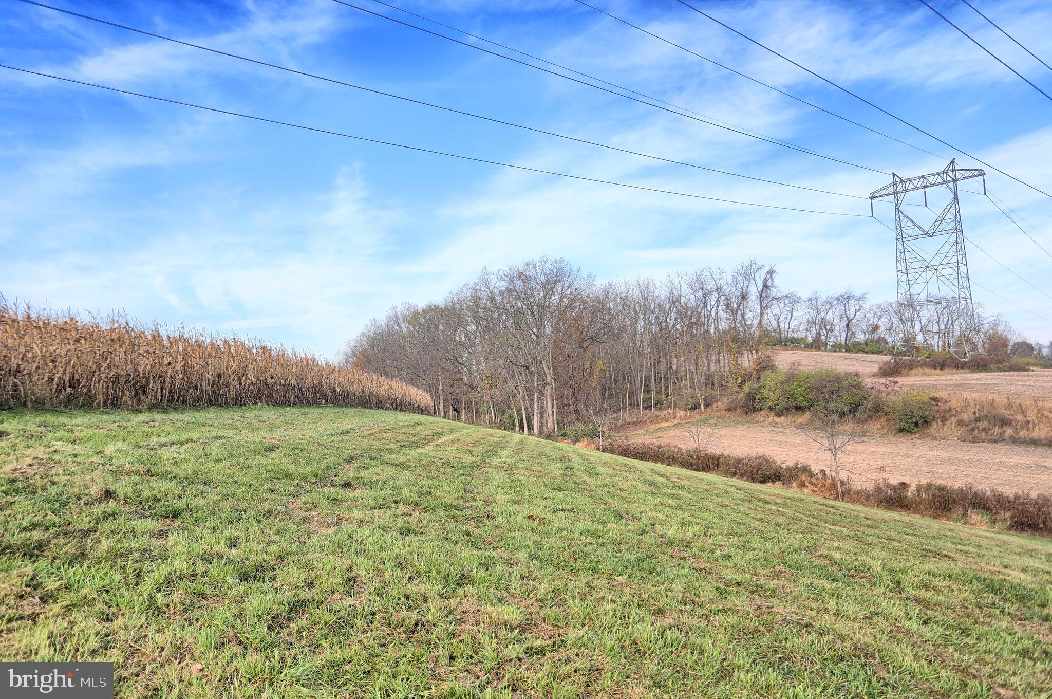 NONE AVAILABLE - Farm