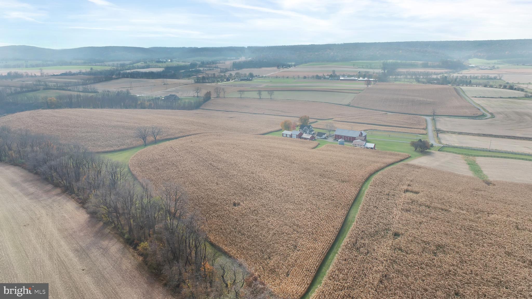 NONE AVAILABLE - Farm