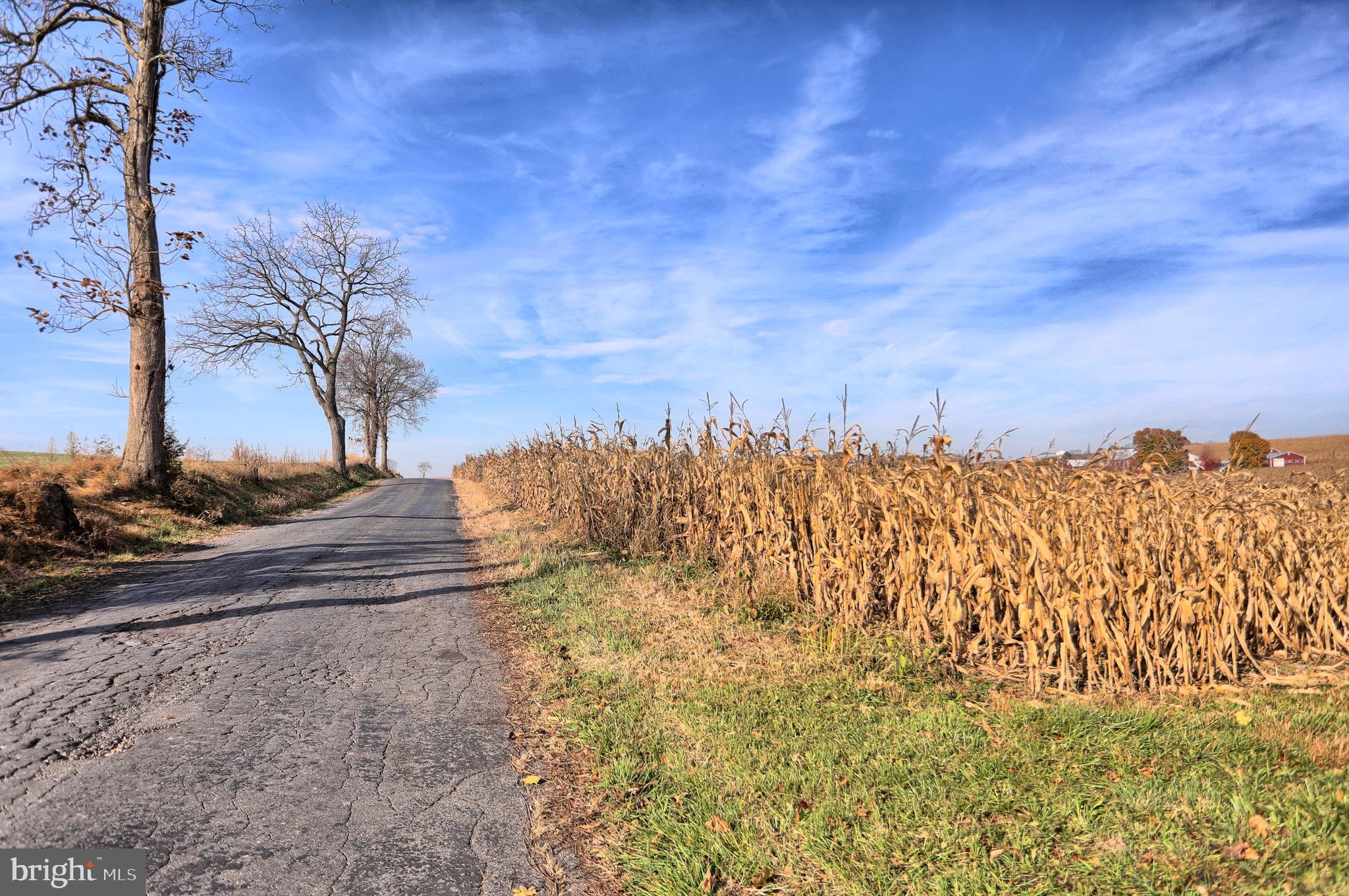 NONE AVAILABLE - Farm