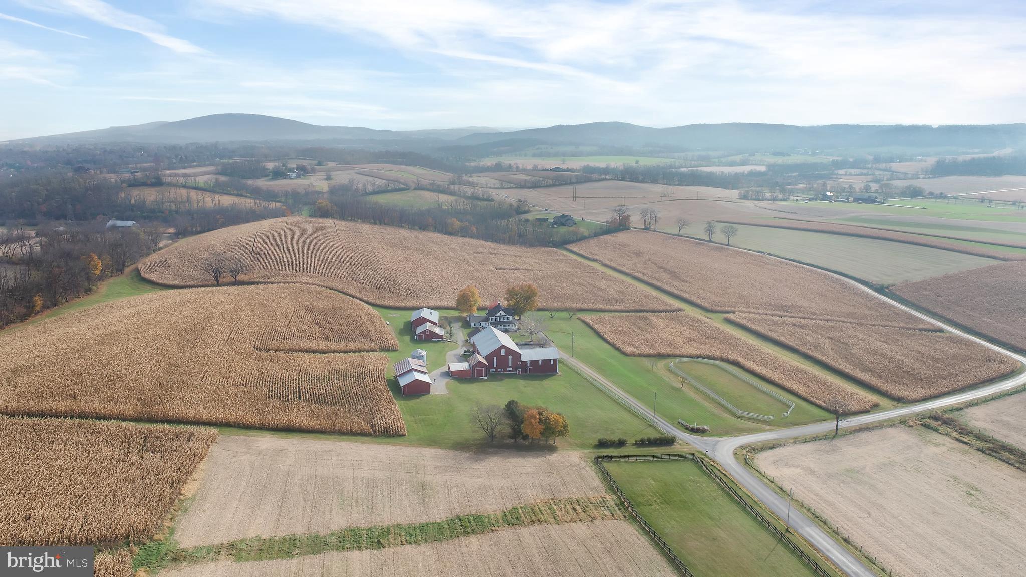 NONE AVAILABLE - Farm