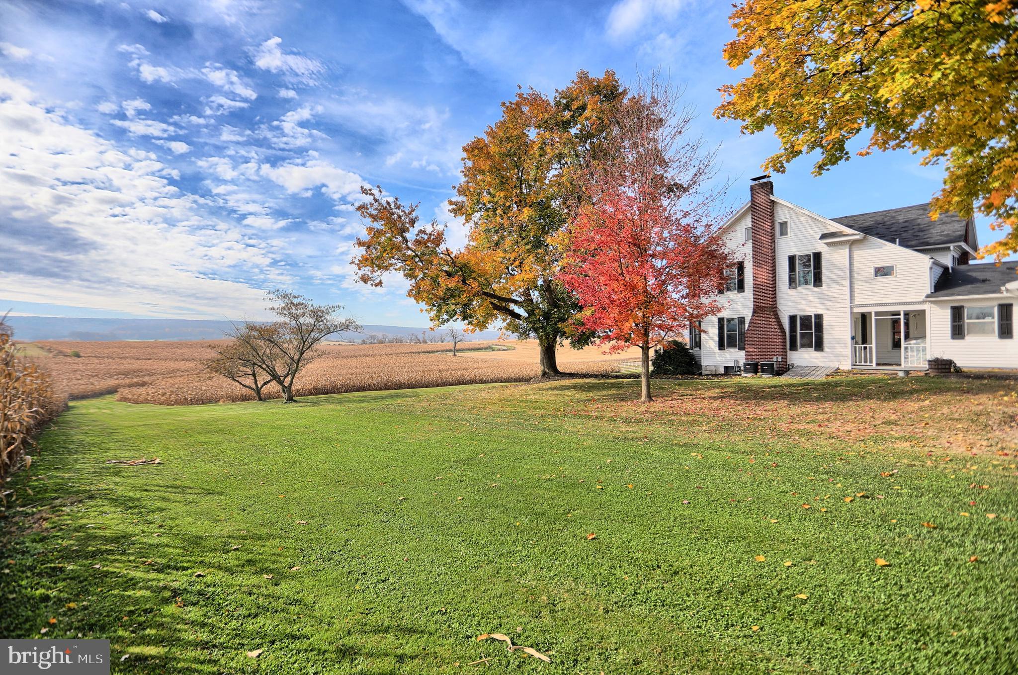 NONE AVAILABLE - Farm