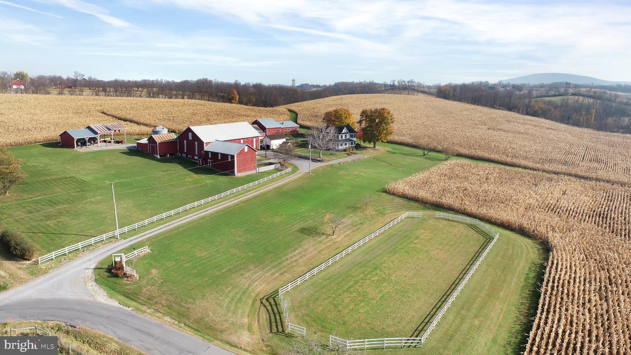 NONE AVAILABLE - Farm