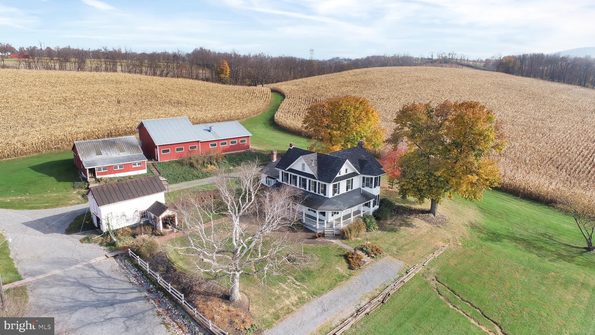 NONE AVAILABLE - Farm