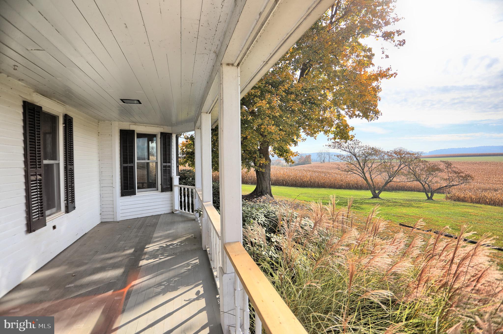 NONE AVAILABLE - Farm