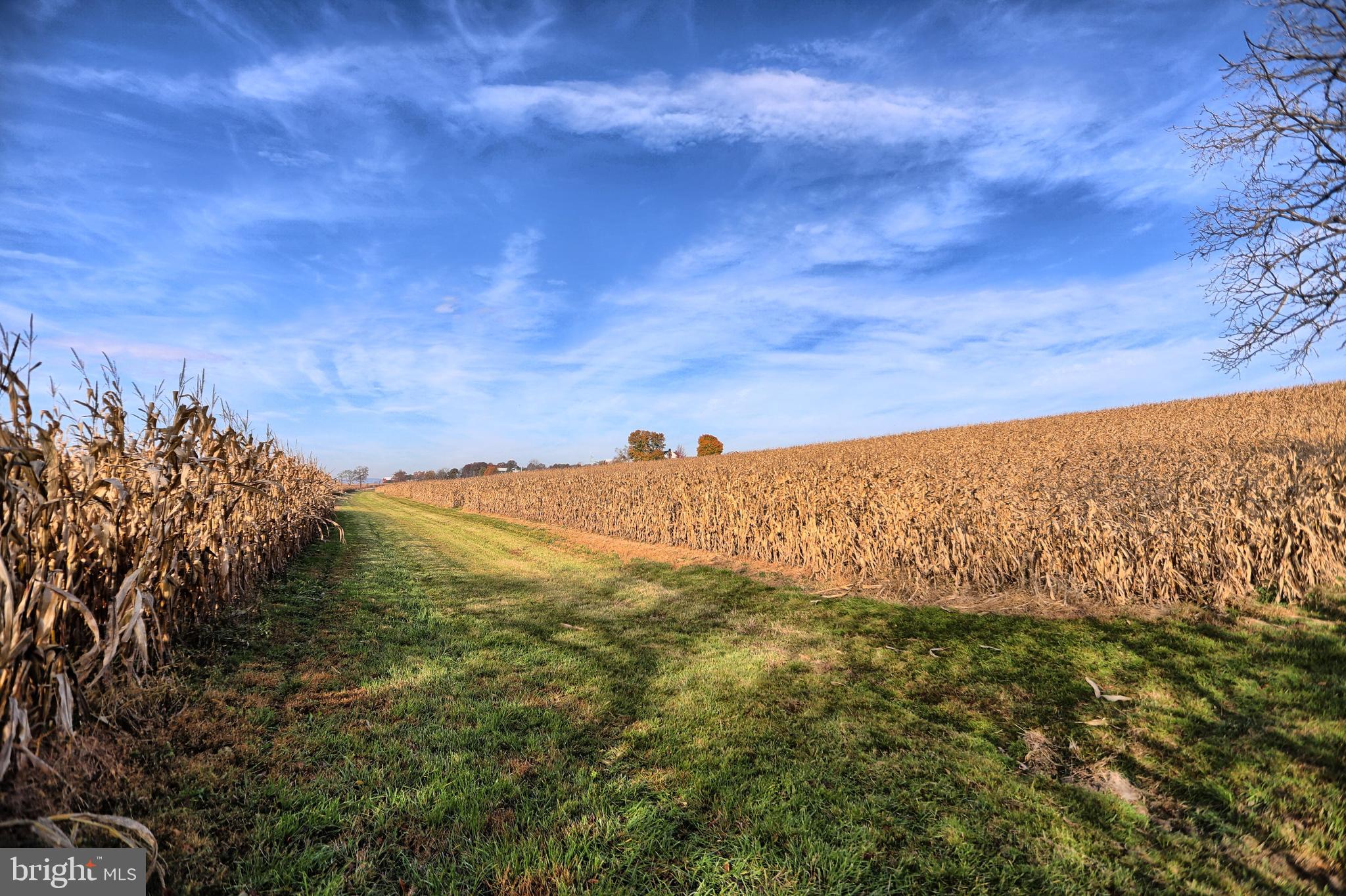 NONE AVAILABLE - Farm