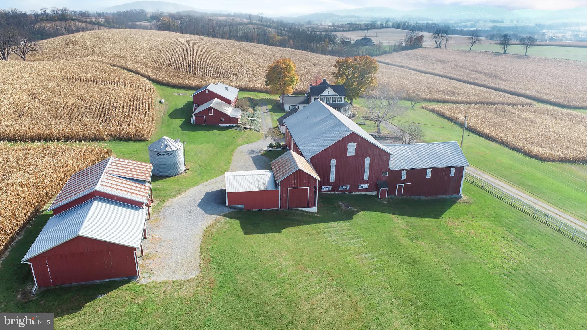 NONE AVAILABLE - Farm