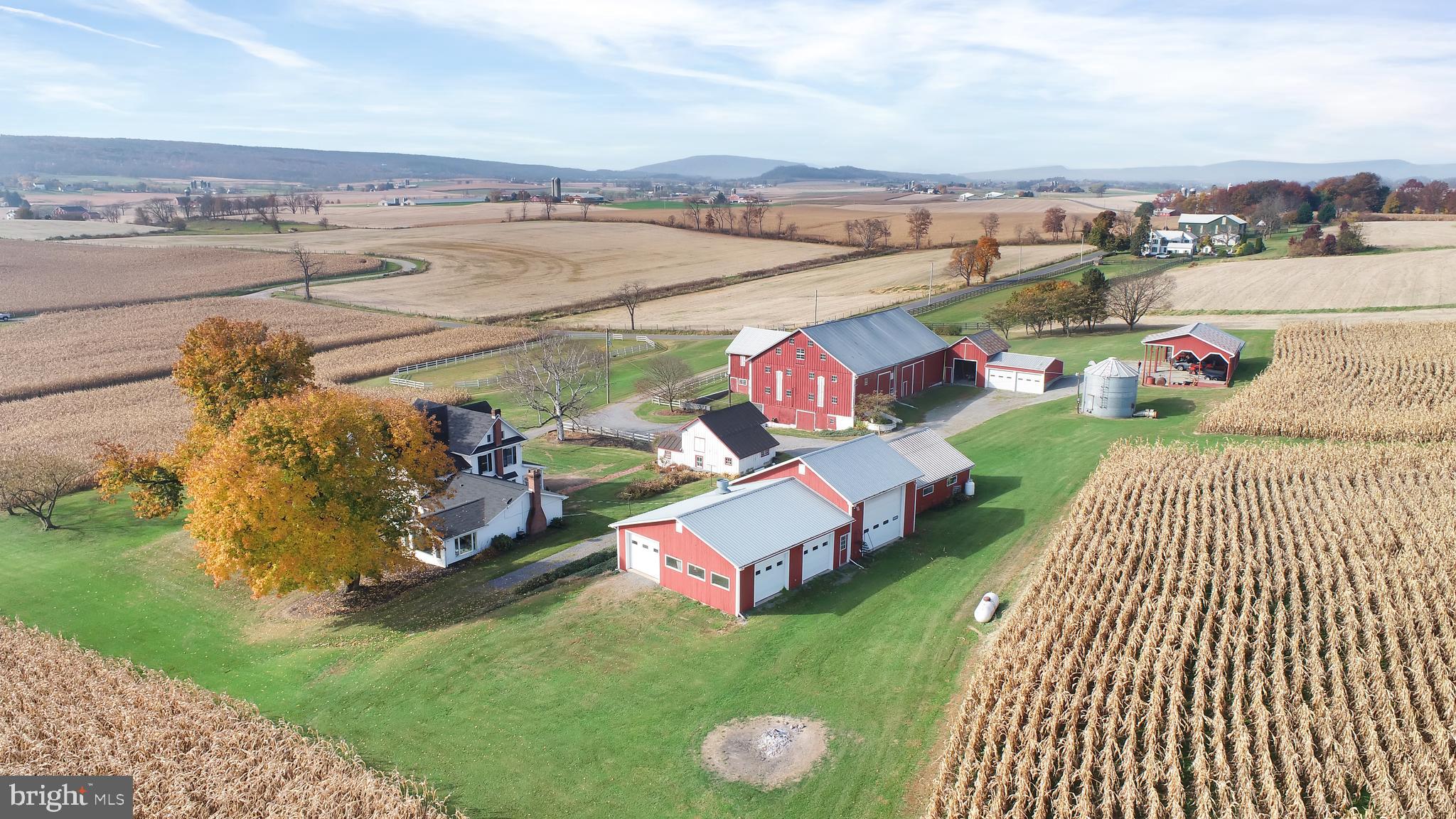 NONE AVAILABLE - Farm