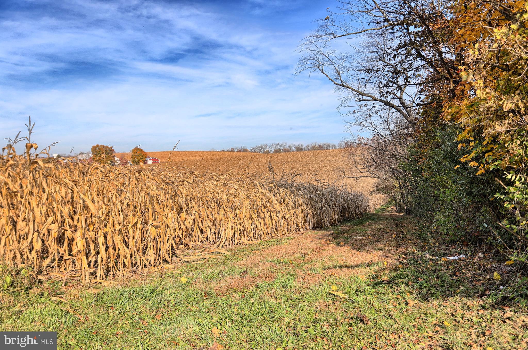 NONE AVAILABLE - Farm