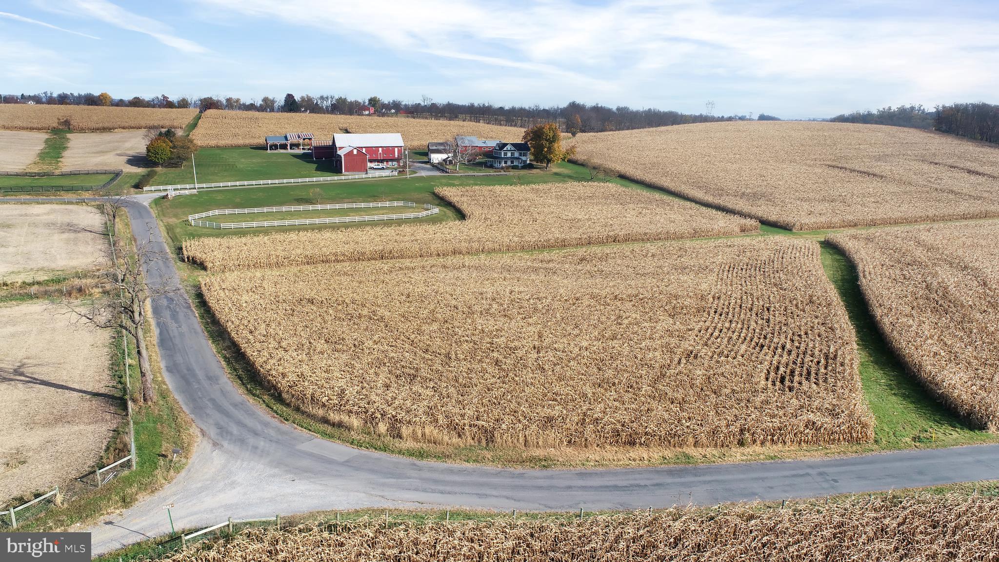 NONE AVAILABLE - Farm