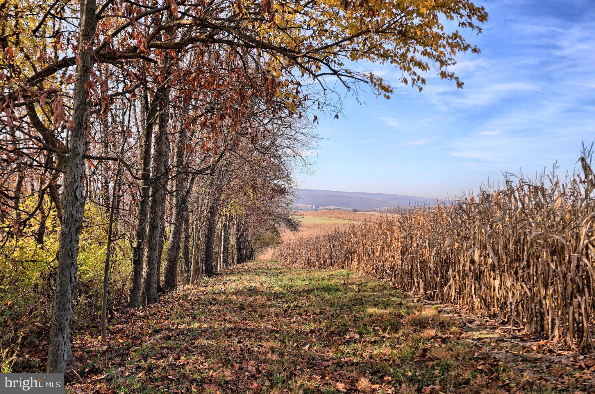 NONE AVAILABLE - Farm