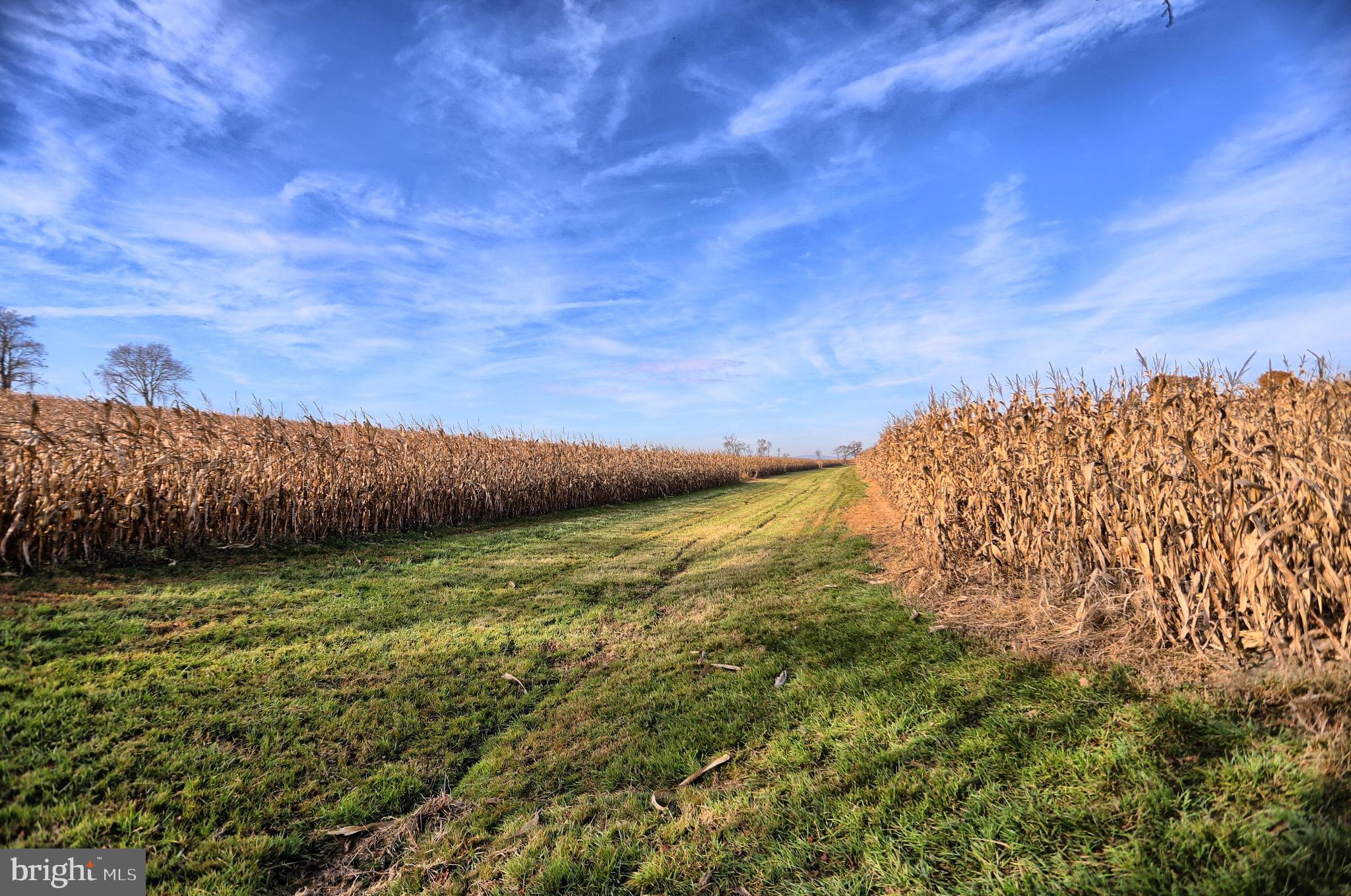 NONE AVAILABLE - Farm