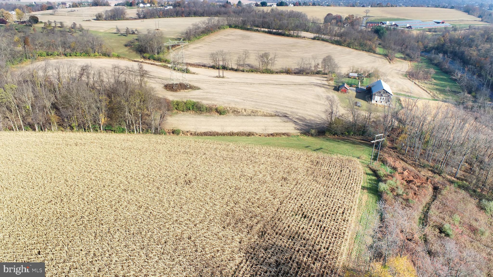 NONE AVAILABLE - Farm