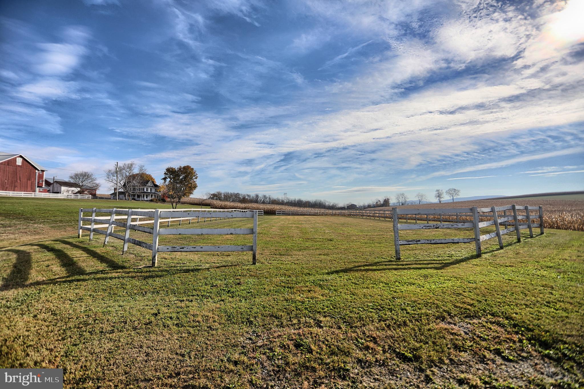 NONE AVAILABLE - Farm