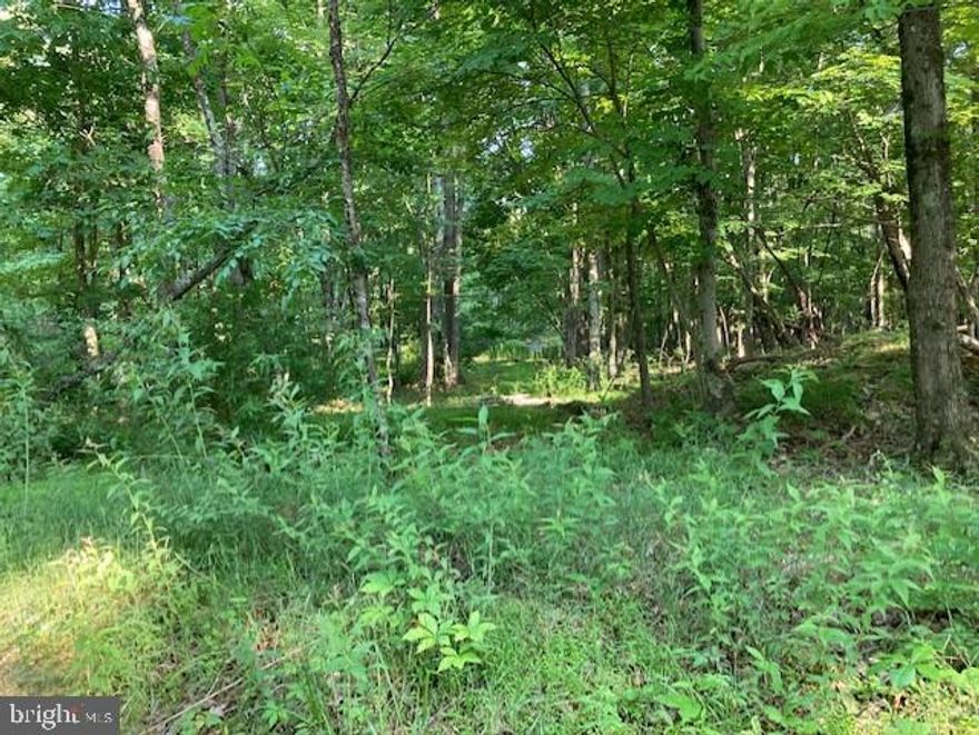 Welcome to historic Orkney Springs Virginia.  24.82 beautiful wooded acres waiting for you to use as a weekend get away, build your dream home or for recreational adventures. Minutes from the Orkney Springs Hotel, 10 minutes from Bryce Mountain Resort and 20 minutes from I-81. Don't miss out on your chance to own 24+ acres of beautiful property.