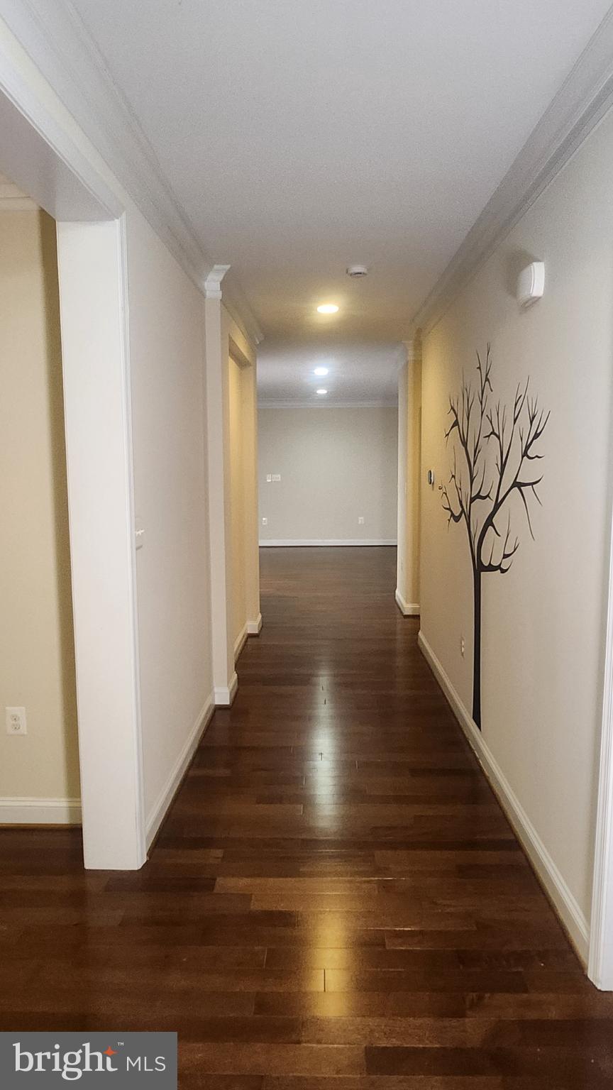 WILLOW RIDGE - Residential