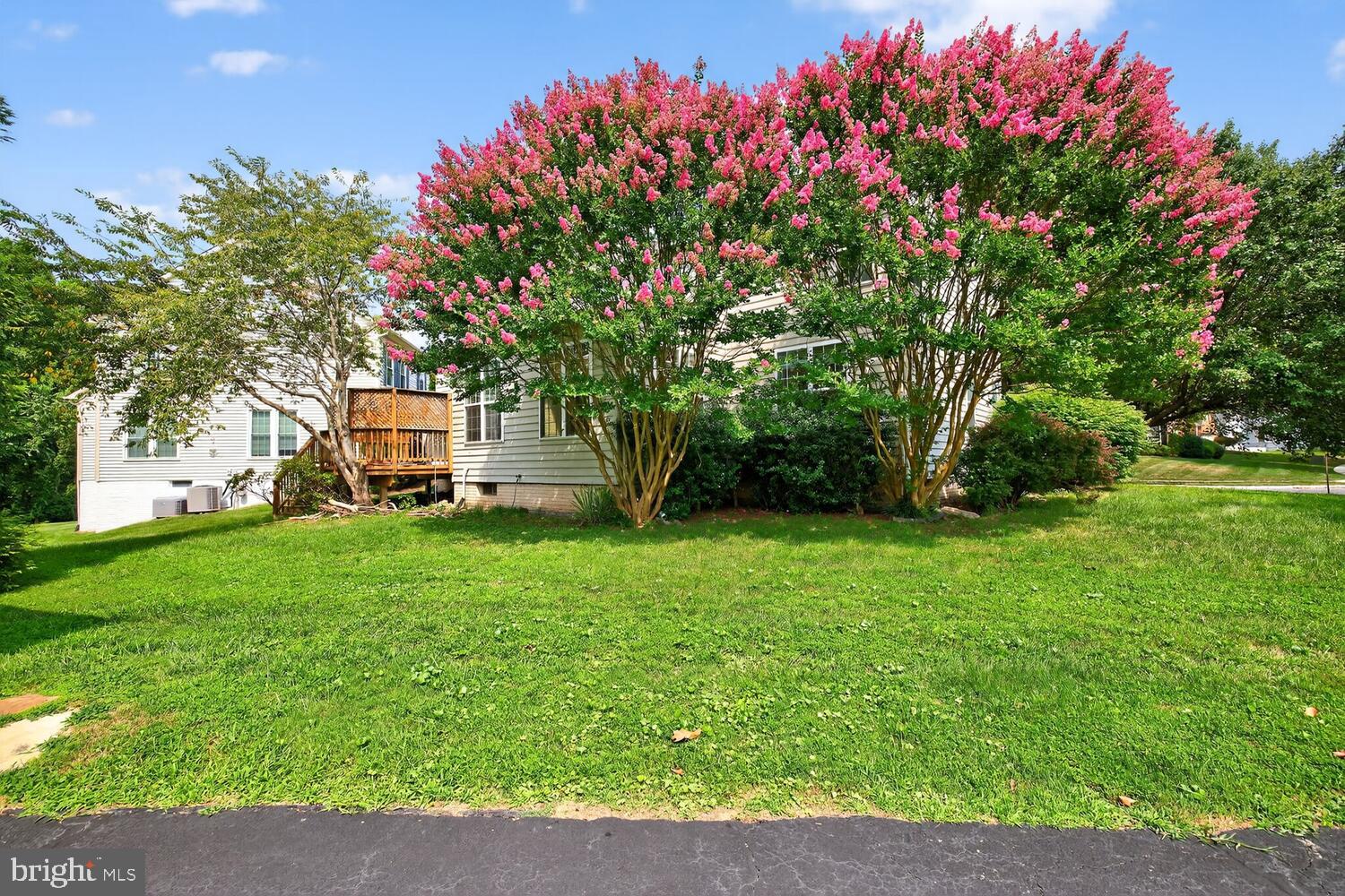 MILESTONE - Residential Lease