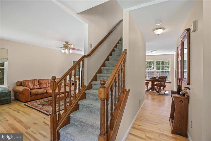 443 NEW ROAD
