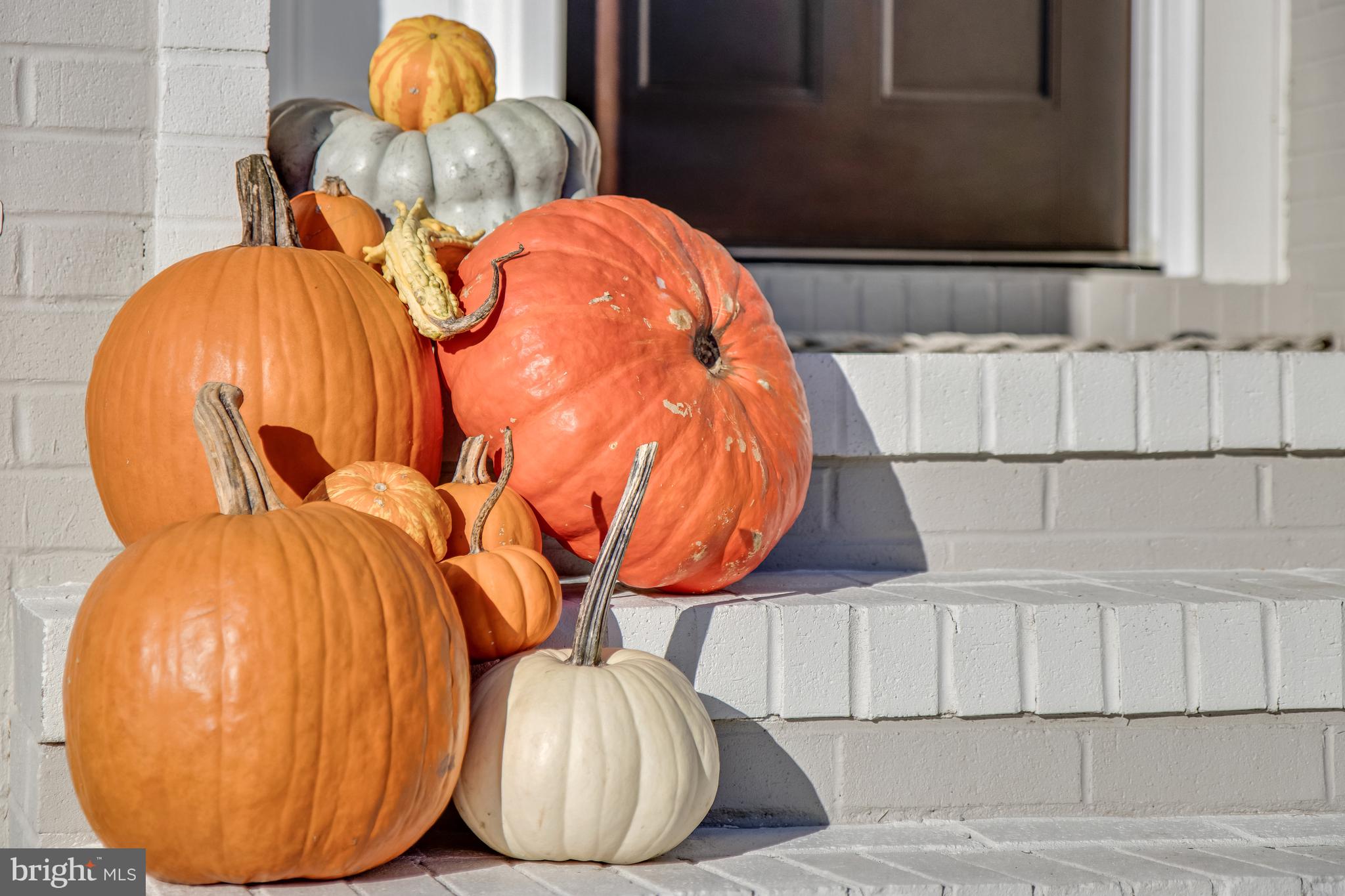 REHOBOTH BEACH YACHT AND CC - Residential