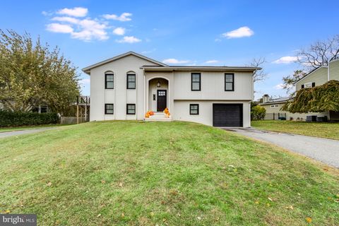 144 CORNWALL ROAD REHOBOTH BEACH DE 19971