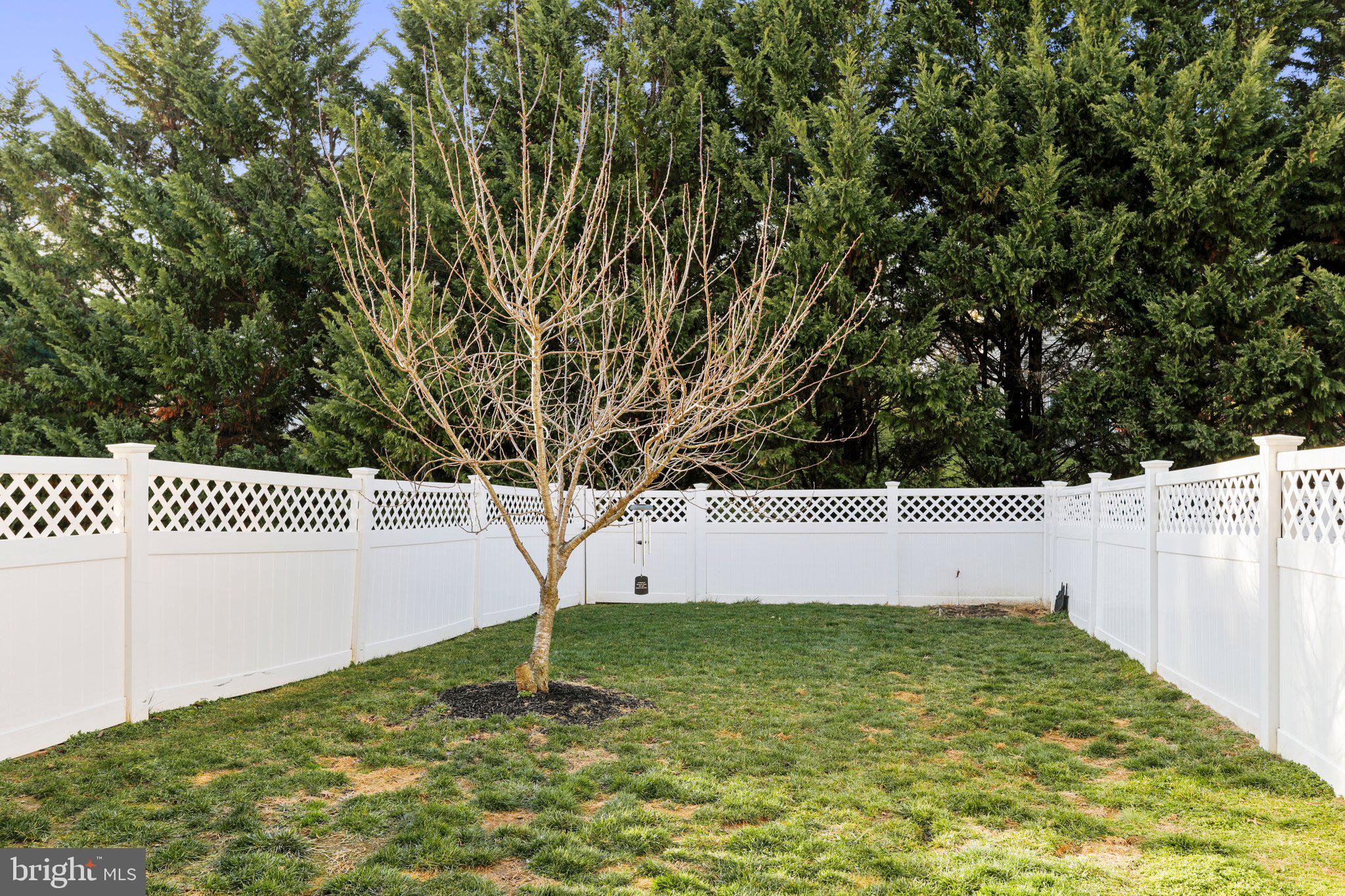 LAKELAND PLACE - Residential Lease