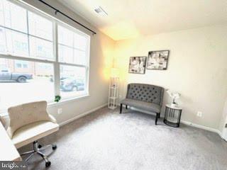 TOWNS AT MARKET COMMONS - Residential