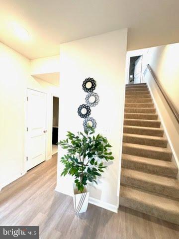 TOWNS AT MARKET COMMONS - Residential