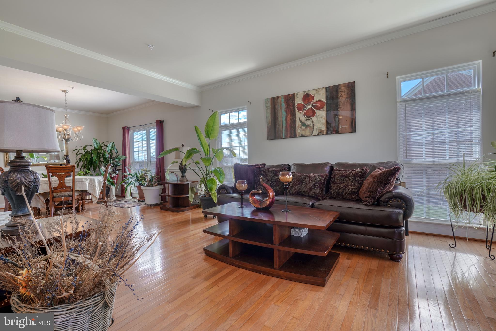 BELMONT CREST - Residential